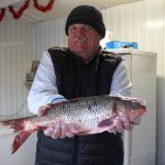 Salau pastrav si stiuca cautate inainte de Revelion