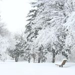Vreme de Craciun in Romania ninsori si viscol