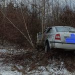 Accident cu 3 raniti langa Cartisoara investigate cauza derapajului