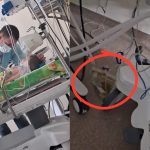 Acuzaii la Spitalul de Pediatrie din Sibiu prinii unui copil grav bolnav ofensai Ne au spus c nu avem educaie