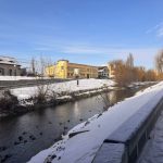 Aparitie rara pe raul Cibin egrete si rate salbatici