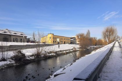 Aparitie rara pe raul Cibin egrete si rate salbatici