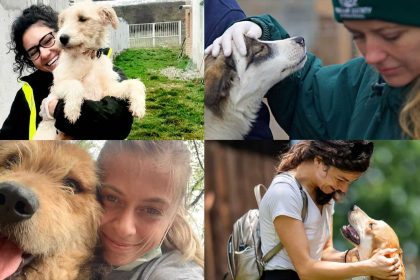 Bilanul Animal Life Peste 500 de animale salvate