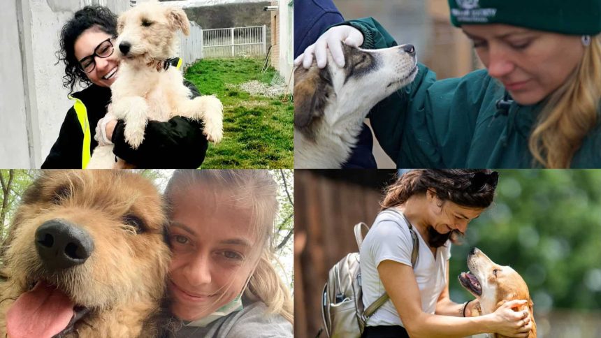 Bilanul Animal Life Peste 500 de animale salvate