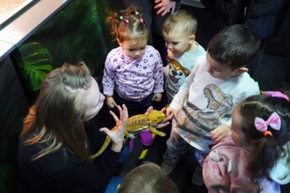 Copiii si au depasit fricile la Exotic Expo Sibiu Vedeta micutilor sarpele Corn Snake Cornel foto video