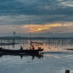 Cum sa alegi lansete feeder universale pentru lacuri comerciale si salbatici