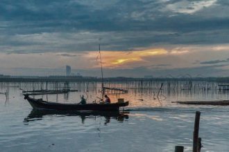 Cum sa alegi lansete feeder universale pentru lacuri comerciale si salbatici