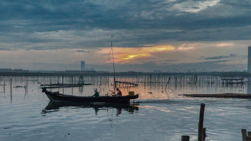 Cum sa alegi lansete feeder universale pentru lacuri comerciale si salbatici