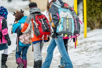 Doua scoli din judetul Sibiu raman inchise