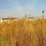 Femeie din Sibiu sancionata pentru neingrijirea terenului impozitul a fost crescut cu 500 de procente