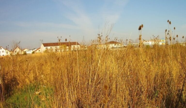 Femeie din Sibiu sancionata pentru neingrijirea terenului impozitul a fost crescut cu 500 de procente