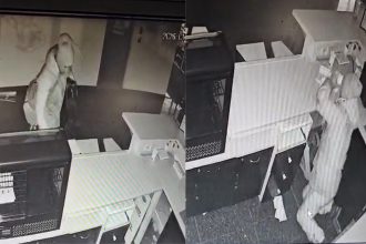 Inca un furt pe Victorie un om al strazii imprumutabunuri dupa ce a fost invitat sa se adapostesca de frig video