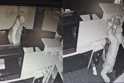 Inca un furt pe Victorie un om al strazii imprumutabunuri dupa ce a fost invitat sa se adapostesca de frig video