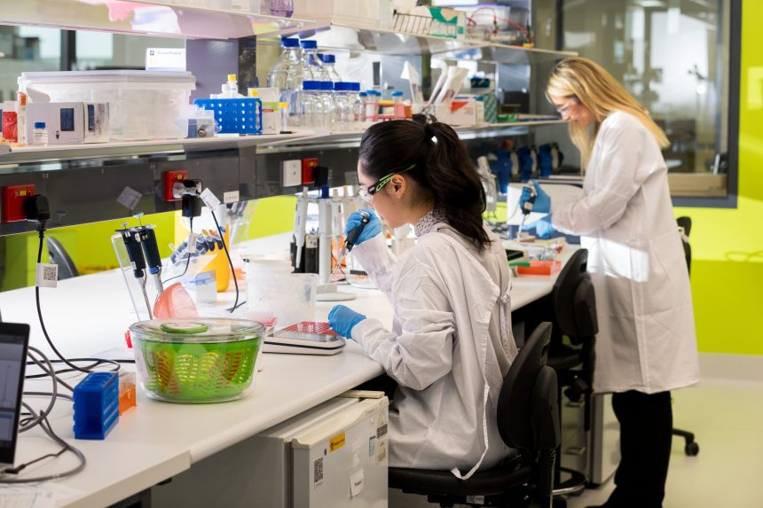 Oamenii de stiinta anunta un progres semnificativ in lupta impotriva cancerului tratamente mai accesibile si eficiente