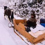 Sania trasa de cai este cautata iarna acesta