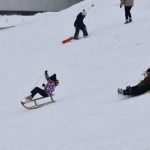 Starea copilului accidentat de o masina in Seica Mare