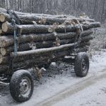 Transporturi ilegale de lemne descoperite in Sibiu