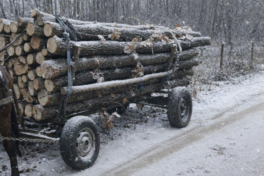 Transporturi ilegale de lemne descoperite in Sibiu