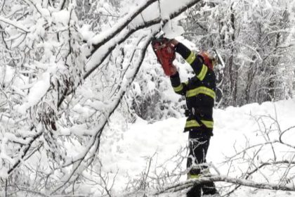Vremea extrema afecteaza judetul Sibiu copaci cazuti pe drumuri