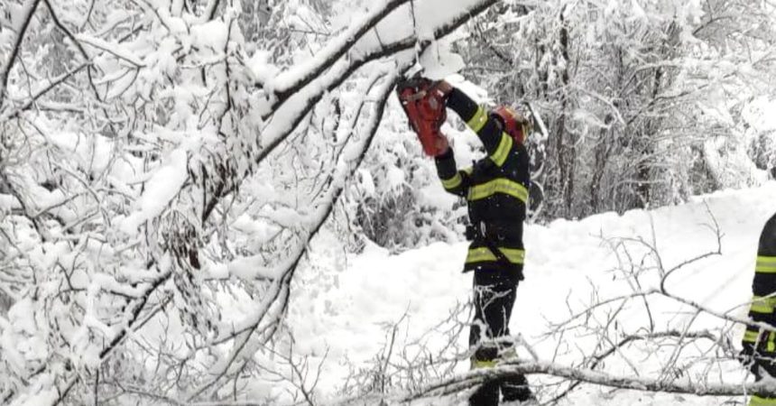 Vremea extrema afecteaza judetul Sibiu copaci cazuti pe drumuri