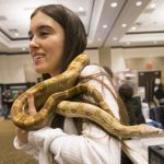 Weekend animat la Sibiu expozitii de animale exotice si teatrul CSU