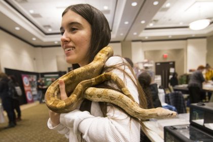 Weekend animat la Sibiu expozitii de animale exotice si teatrul CSU