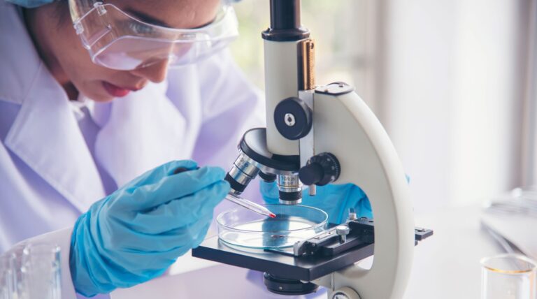 descoperire uimitoare semintele unei specii de vinete incetinesc dezvoltarea cancerului de colon