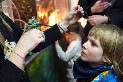 Agenda weekendului la Sibiu petrecere Pulse teatru expozitii spectacole si baschet la Sala Transilvania