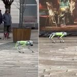 Cainelrobot pe strazile unui oras din Romania ofera trecatorilor sfaturi utile video