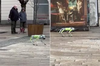 Cainelrobot pe strazile unui oras din Romania ofera trecatorilor sfaturi utile video