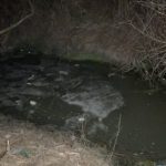 Cum s a petrecut tragedia de la Chirpar cei doi frati ar fi intrat in apa pentru a cauta un papuc