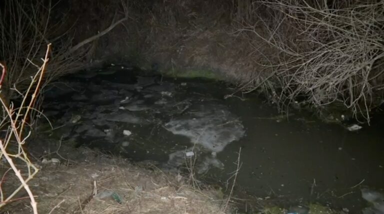 Cum s a petrecut tragedia de la Chirpar cei doi frati ar fi intrat in apa pentru a cauta un papuc