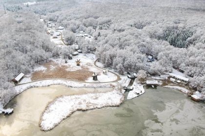 Guvernul face concesii institutile culturale muzeele si bibliotecile sunt scutite de reducerile de personal si cheltuieli
