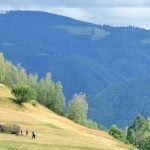 Jina la inaltimea traditiilor din Marginimea Sibiului unde sa mancam ce sa vizitam si unde sa ne cazam pe drumul spre Transalpina