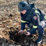 Munitie de razboi gasita in padurea Sopa au intervenit pirotechnistii foto