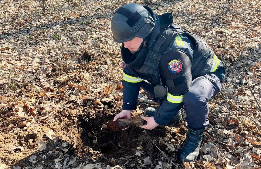 Munitie de razboi gasita in padurea Sopa au intervenit pirotechnistii foto