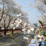 Vremea se incalzeste in Romania dupa frig urmeaza saptamani mai calde