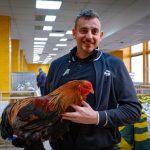 Weekend plin la Sibiu expozitie de gaini petreceri de Ziua Indragostitilor spectacole si meci important pe Municipal