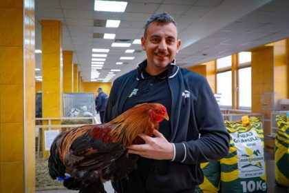 Weekend plin la Sibiu expozitie de gaini petreceri de Ziua Indragostitilor spectacole si meci important pe Municipal