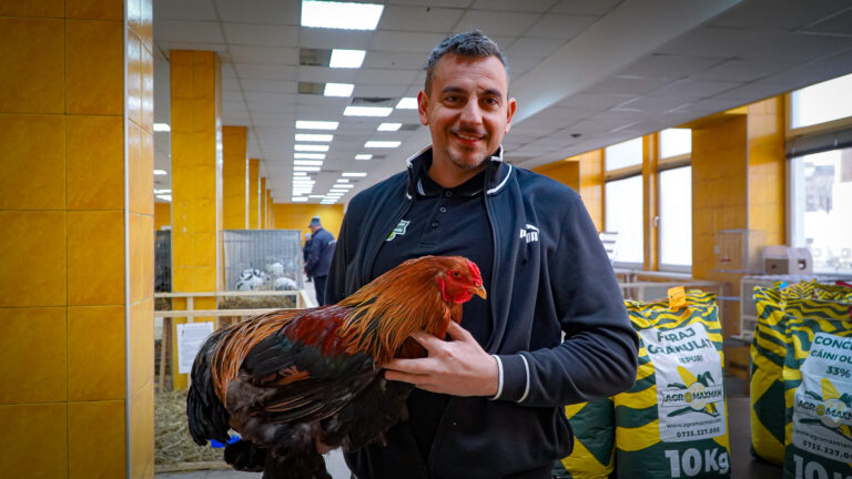 Weekend plin la Sibiu expozitie de gaini petreceri de Ziua Indragostitilor spectacole si meci important pe Municipal