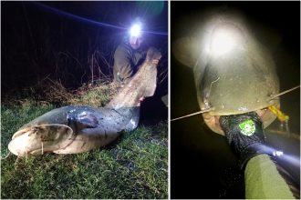 A prins un somn de 2 22 metri pe Tarnava Mare la ora 3 dimineata dar l a eliberat Hai prietene sa ne intalnim peste zece ani