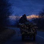 Barbat din Jina gasit transportand lemne fara acte cu caruta