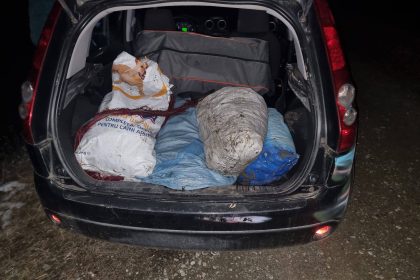 Braconierii din Avrig au fost eliberati magistratii au adoptat o masura mai blanda