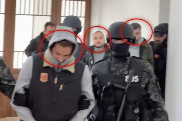 Criminalii lui Adrian Kreiner adusi la Curtea de Apel fosta iubita a milionarului a fost de asemenea prezenta video