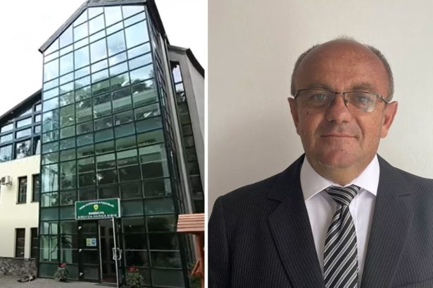 Dispare Direcia Silvica din Sibiu Directorul Ilie Troanca Vom pune in practica hotararea asa cum este