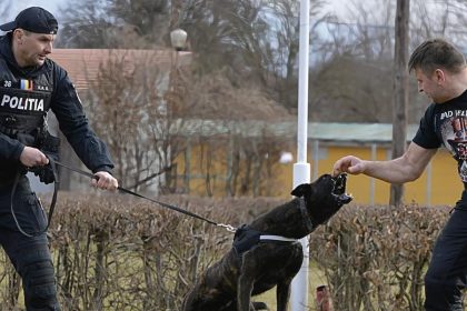 Locuitorii din apropierea Centrului Chinologic Sibiu deranjati de latratul cainilor au solicitat in instanta inchiderea acestuia