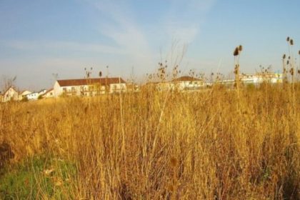 Neglijenta care costa mult Ce impozit va plati o sibianca pentru un teren plin de iarba densa