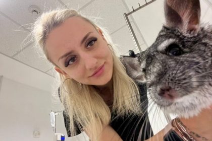 O tanara din Sibiu a creat o aplicatie ingenioasa ideea Denisei iti poate salva animalul de companie