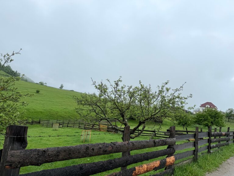 Primavara in Marginimea Sibiului De ce sa optezi pentru un Paste autentic la Jina locul unde traditia se imbina cu rafinamentul montan