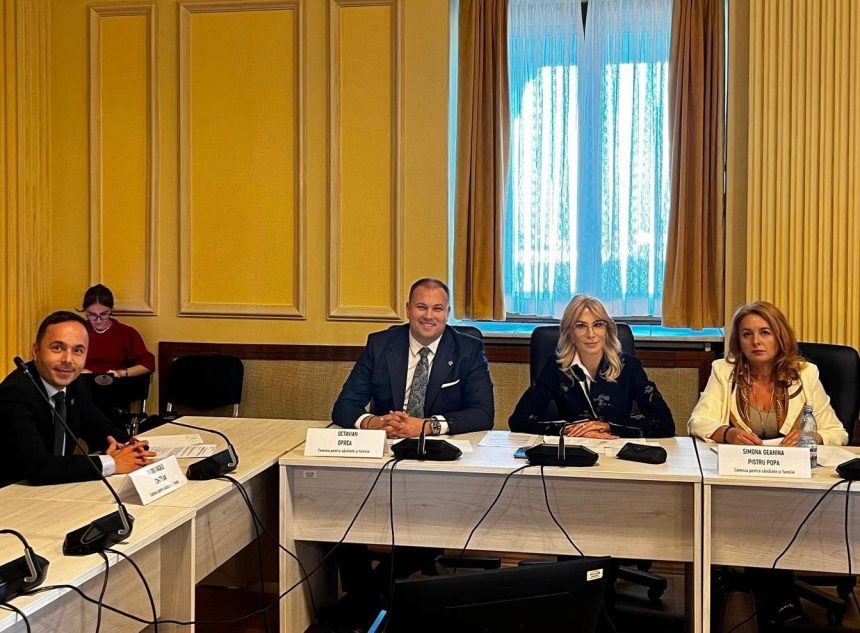 Raluca Turcan anunta ca legea pentru sprijinirea copiilor cu autism si sindrom Down este pe cale sa fie adoptata